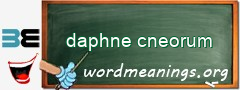 WordMeaning blackboard for daphne cneorum